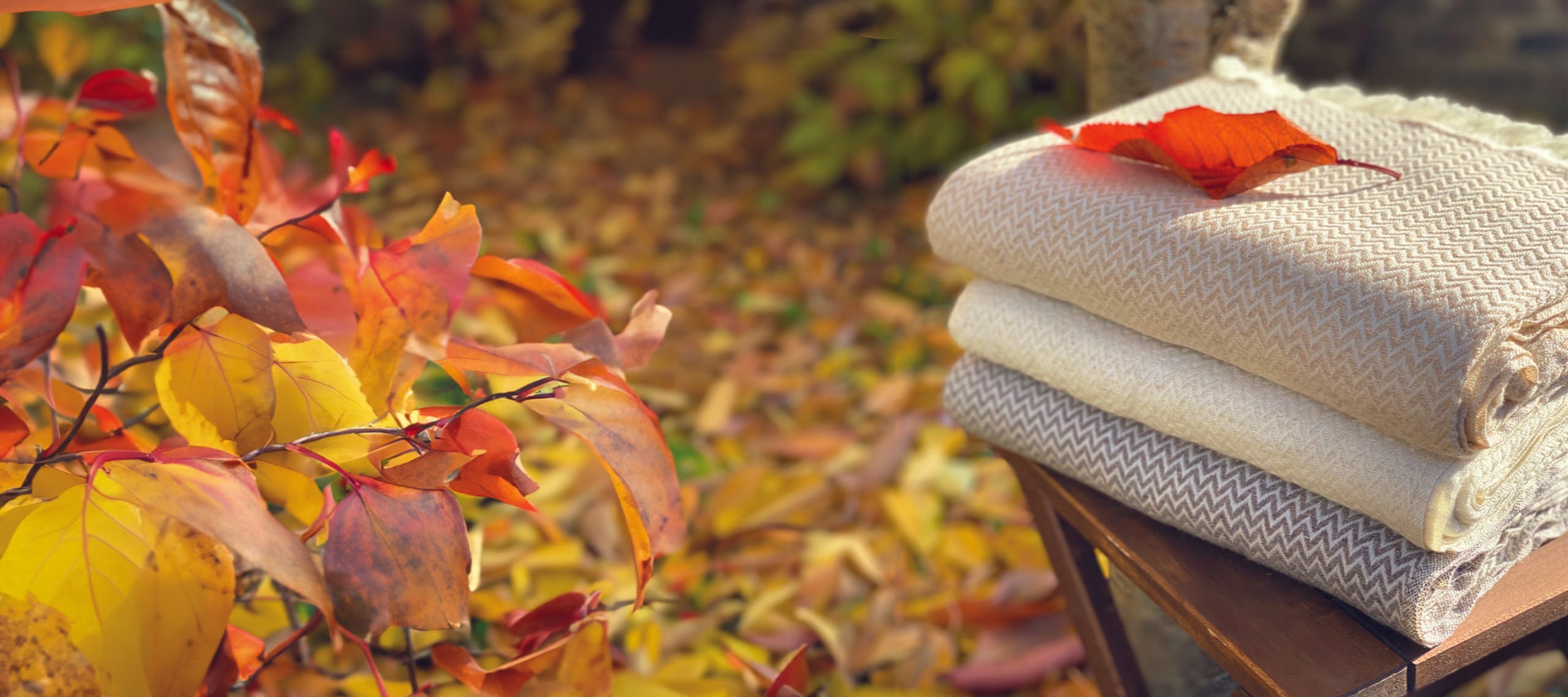 Delicias de otoño-Les Jardins de la Comtesse es