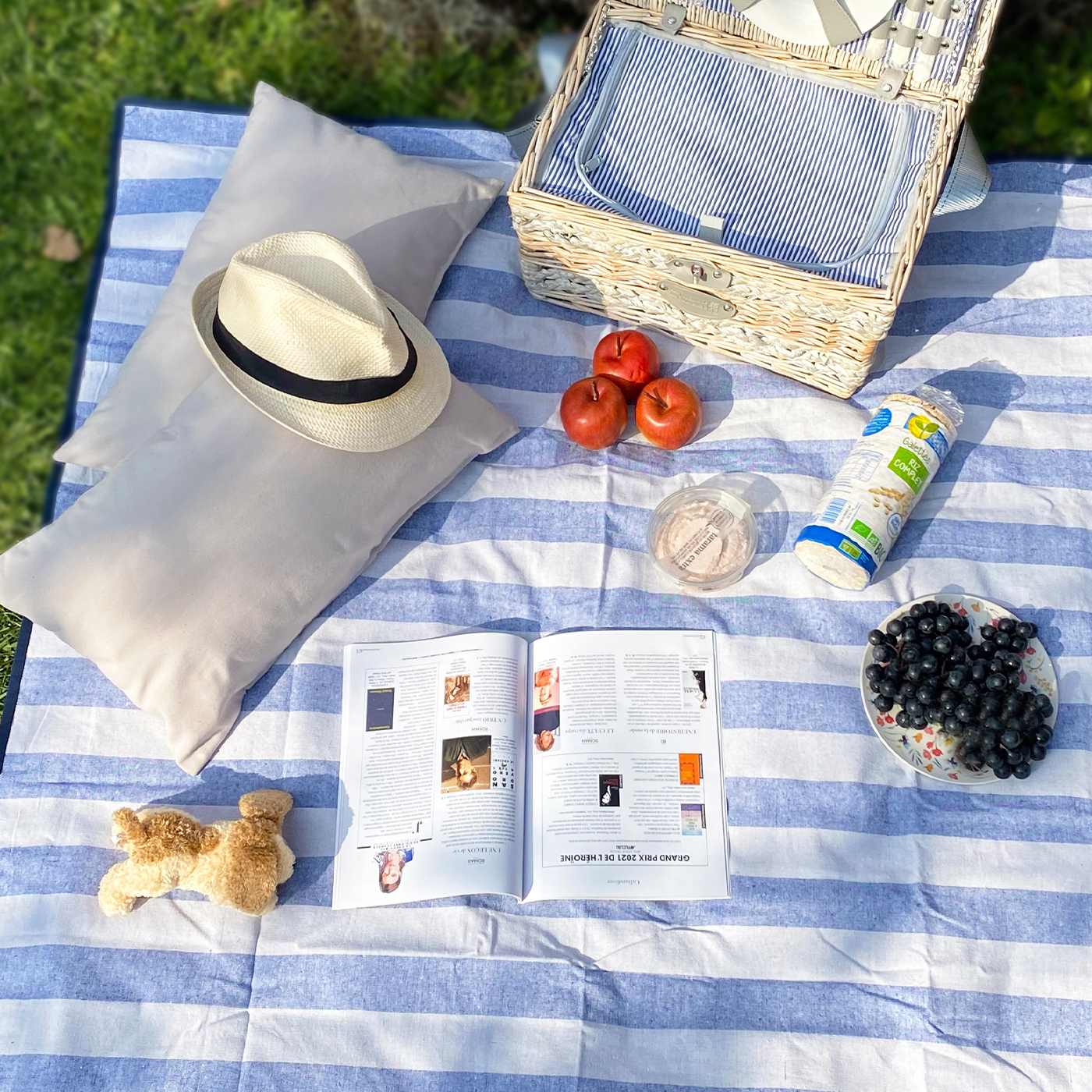 Manta picnic